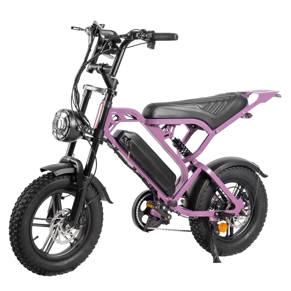 V20 Pro Mini Fatbike – Black / Grey / Purple