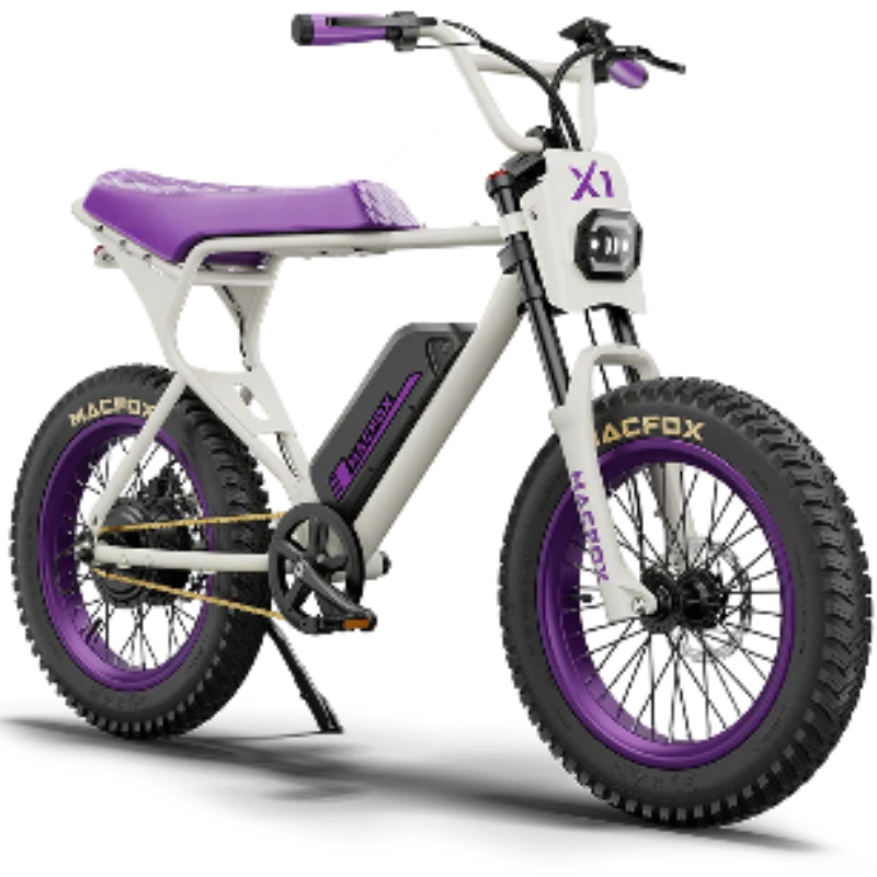 Macfox X1S x Bs.zay Elektrische Fatbike